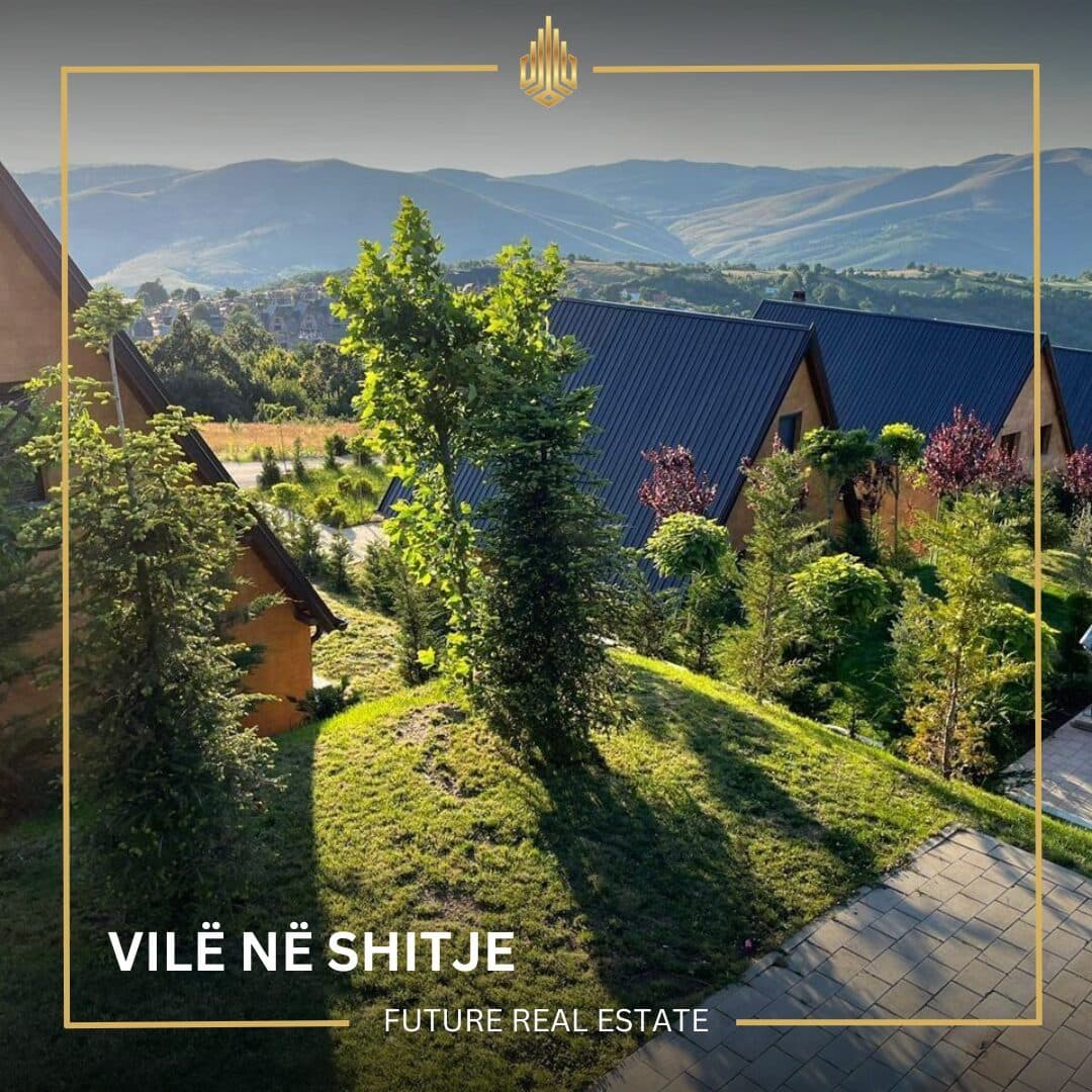 Vilë në SHITJE/4 ari