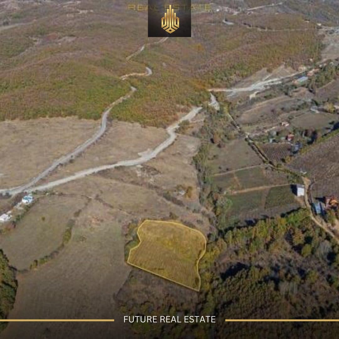 Tokë në SHITJE/1 Hektar 2