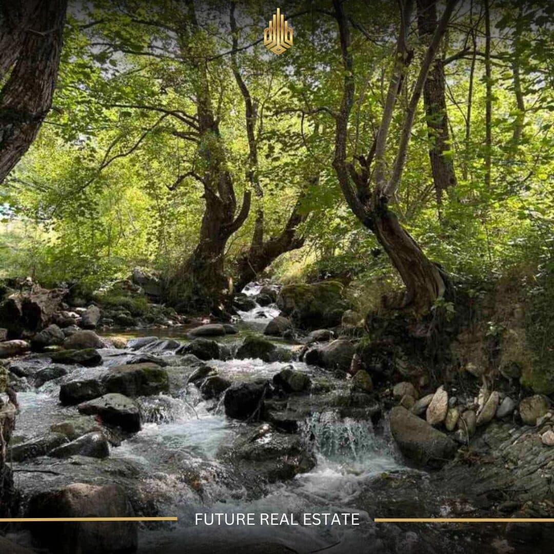 Tokë në SHITJE/3028m² 3