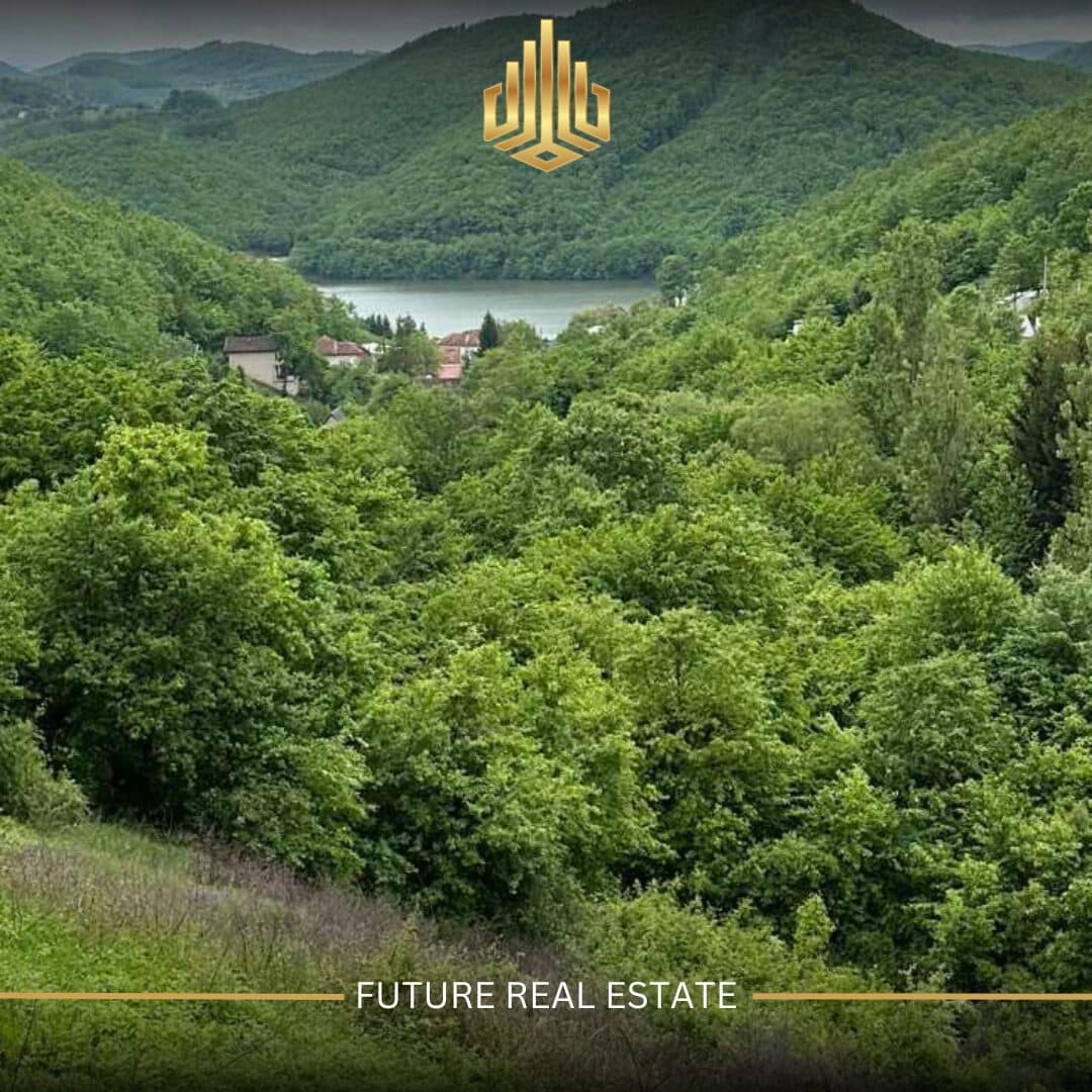 Tokë në SHITJE/50 ari 3