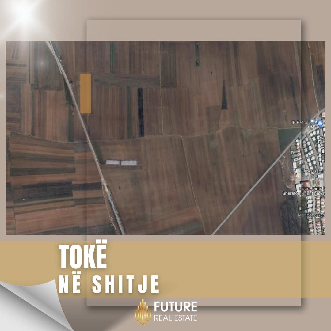 Tokë në SHITJE/42.1 ari 1