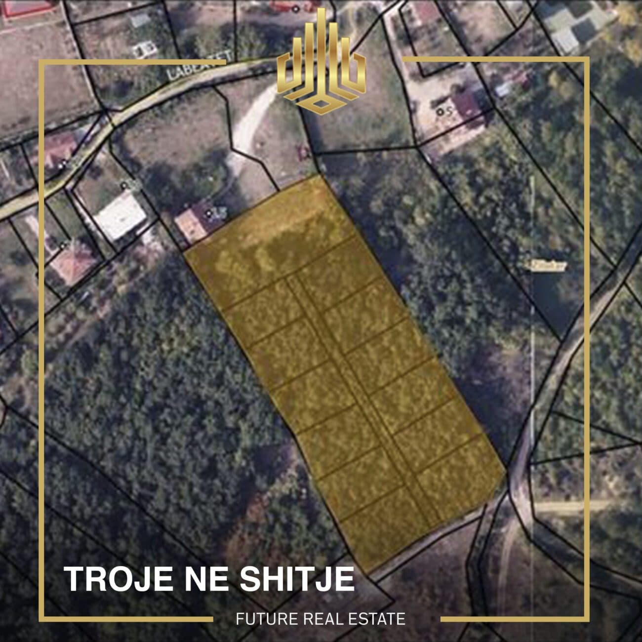 Troje në SHITJE 1