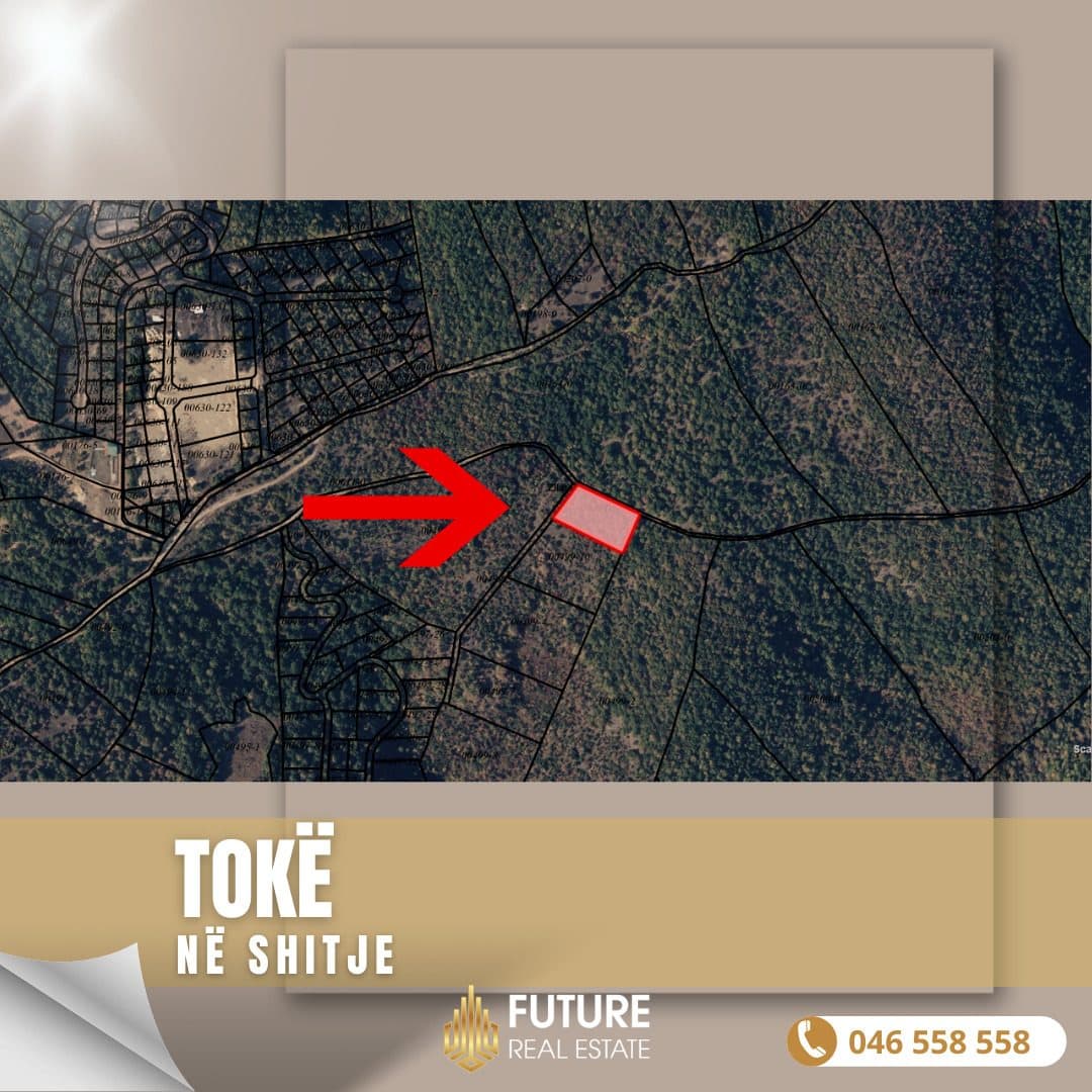 Tokë në SHITJE/23.46ari 1