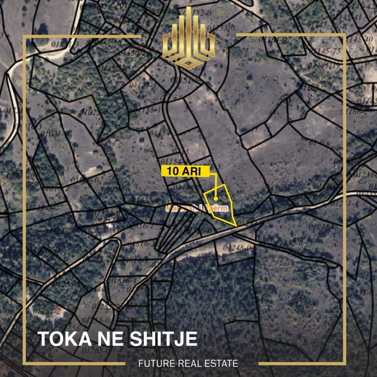 Toka në SHITJE/10 Ari