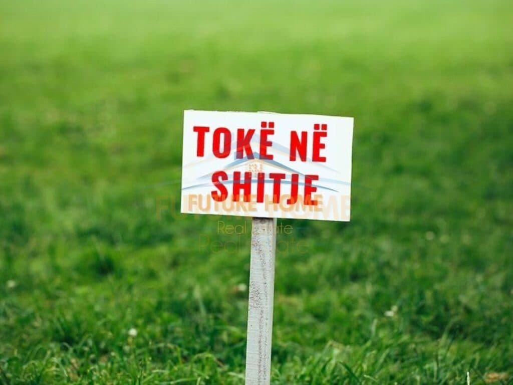 Shitet Toke , Qeparo,Sarande