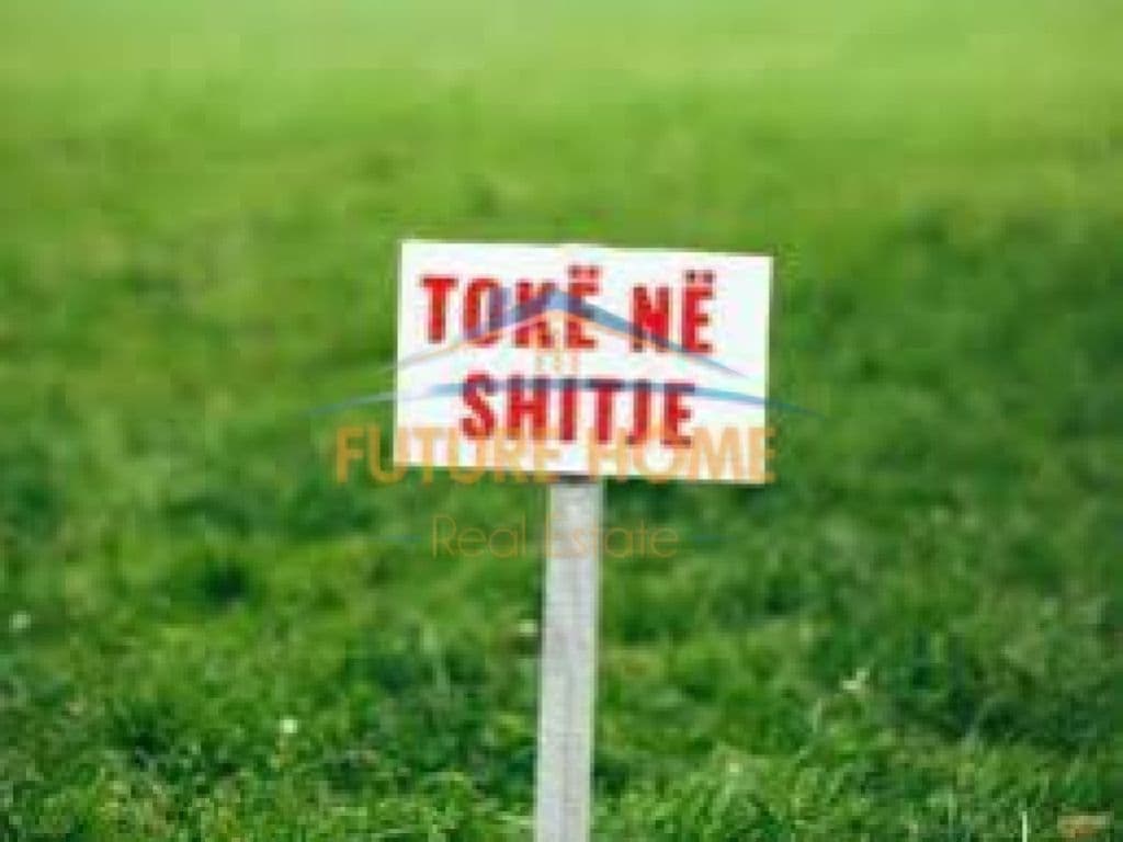 Shitet, Tokë, Kamez-Bathore 1