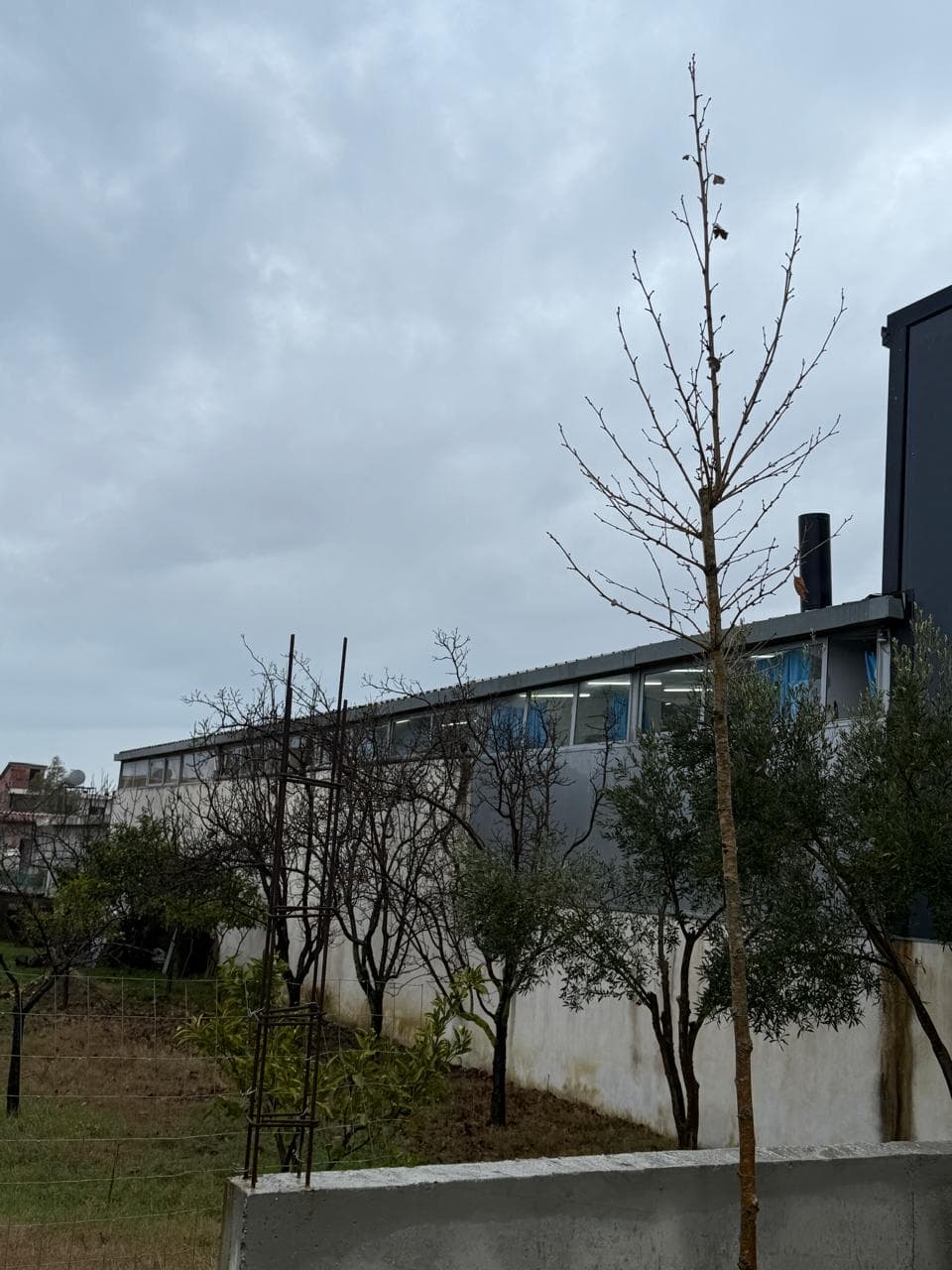 SHITET KAPANON ZONA ISH KENETES DURRES