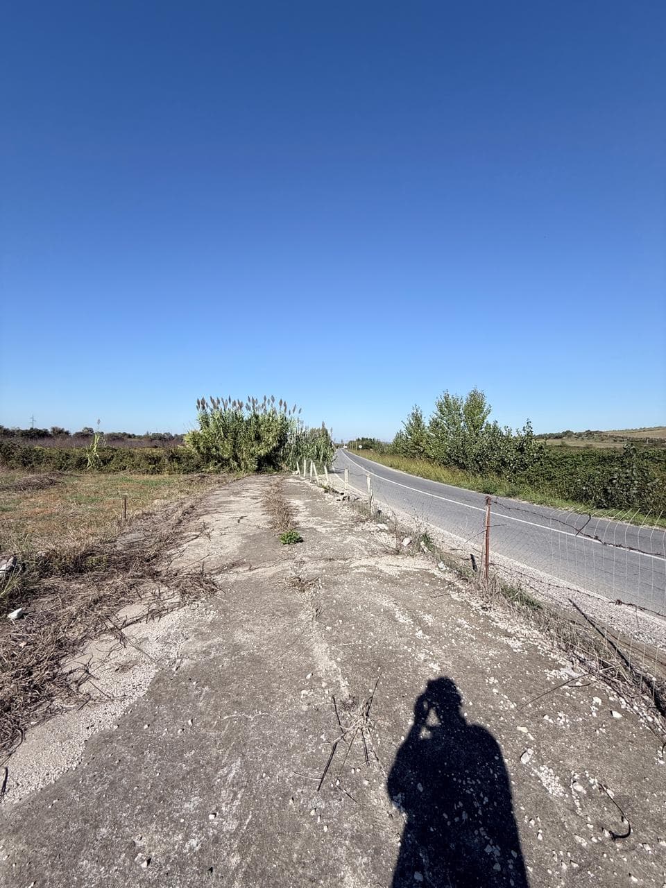 SHITET TOKE GJIRI LALEZIT VIJA PARE ME RRUGEN