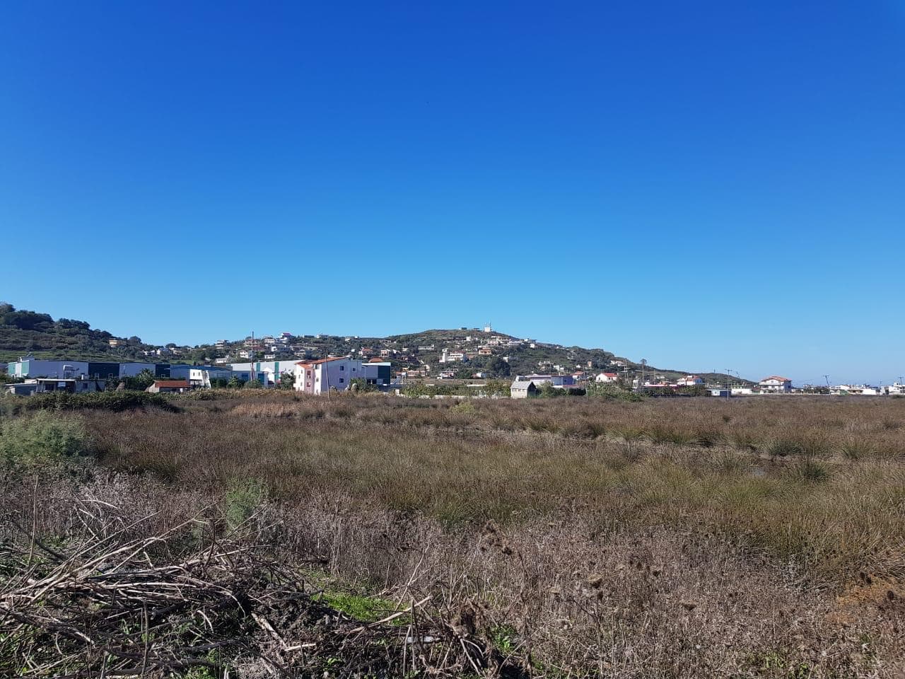 SHITET TOKE NE PORTOROMANO, DURRES. 1