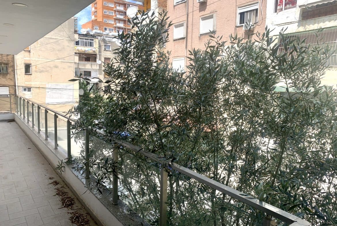 JEPET ME QERA AMBJENT BIZNESI PRANE MUZEUMIT TE DESHMOREVE,DURRES