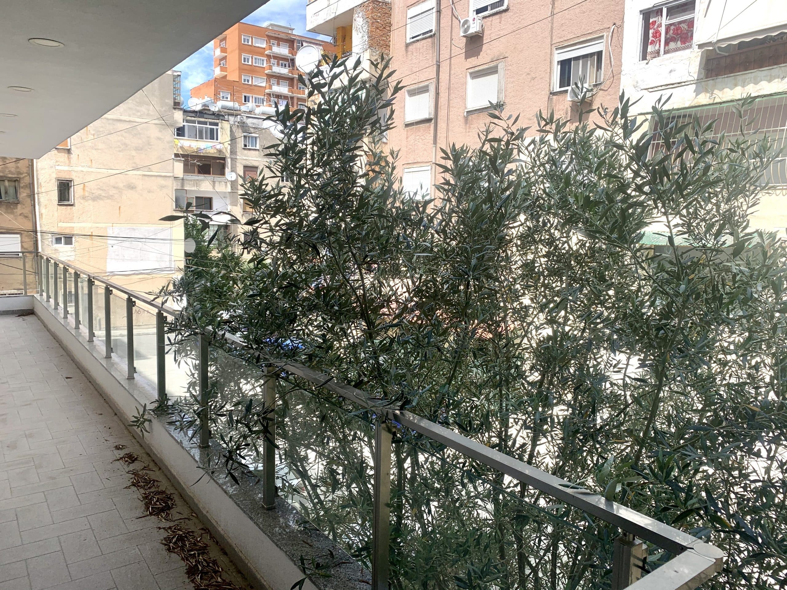 JEPET ME QERA AMBJENT BIZNESI PRANE MUZEUMIT TE DESHMOREVE,DURRES