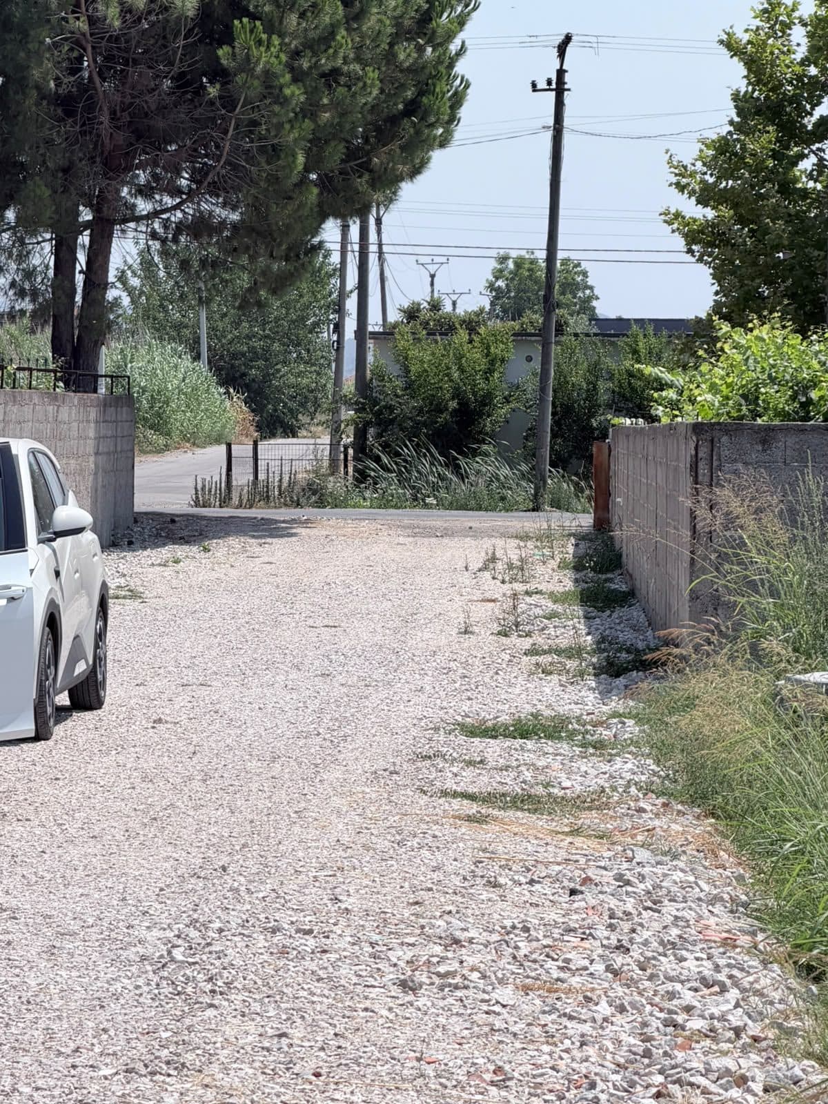 SHITET TOKE PRANE RESTORANT FLAMENGO NE ZONEN E SHIJAKUT, DURRES 3