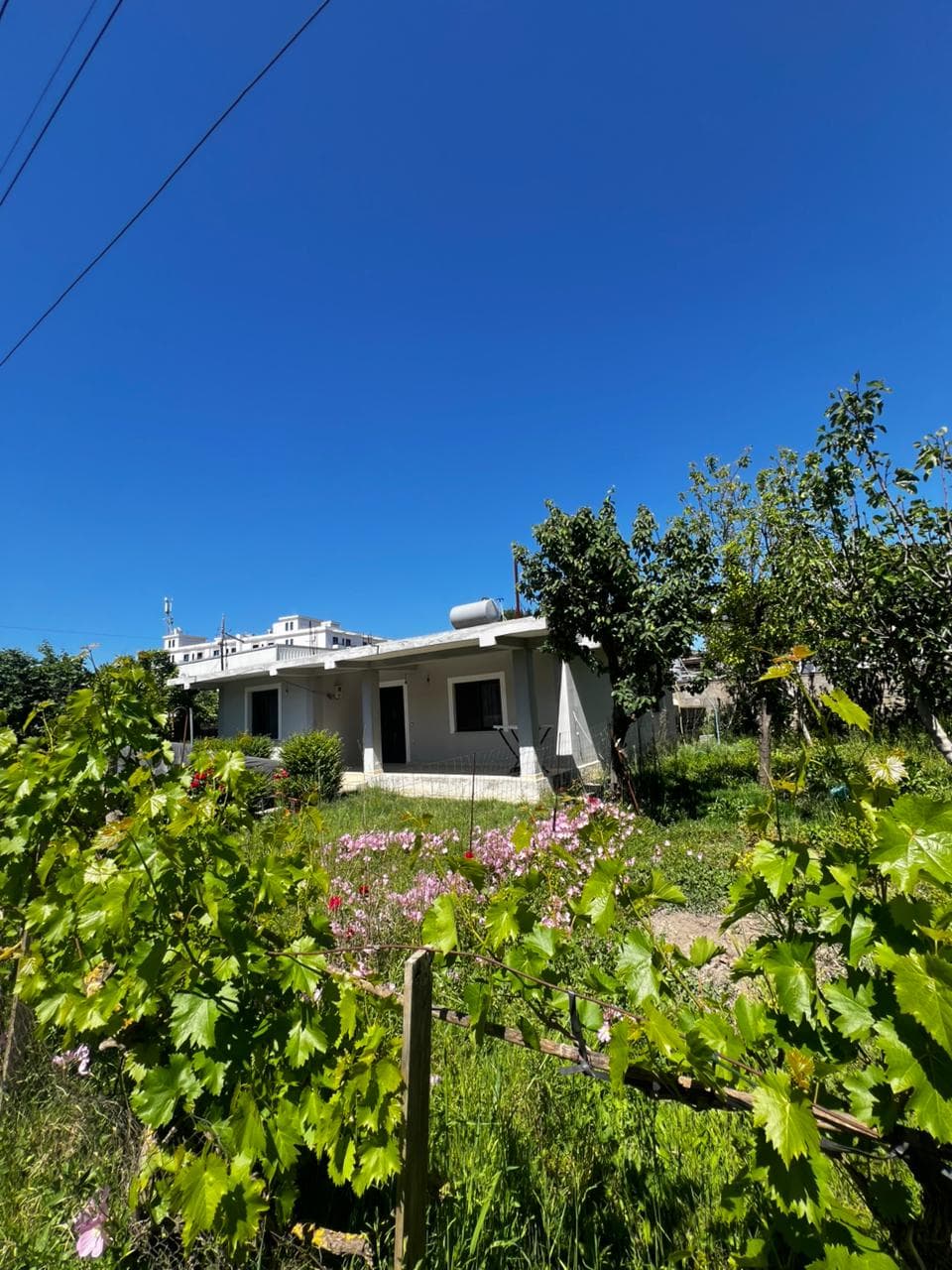 SHITET SHTEPI PRIVATE PRANE HOTEL DELTA, AUTOSTRADA DURRES-TIRANE