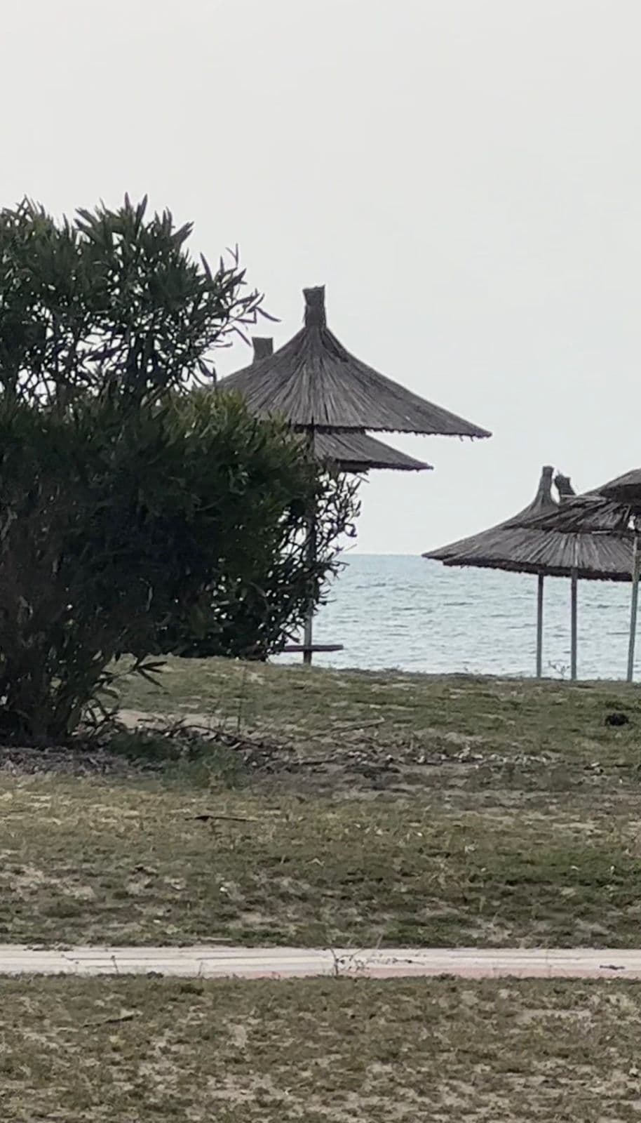 SHITET TOKE VIJE E PARE SPILLE, KAVAJE 1