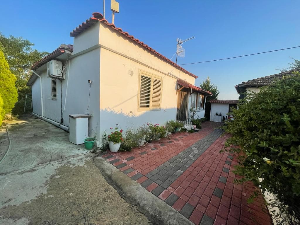 SHITET SHTEPI PRIVATE PRANE KODRES SE KUAJVE,DURRES . 3