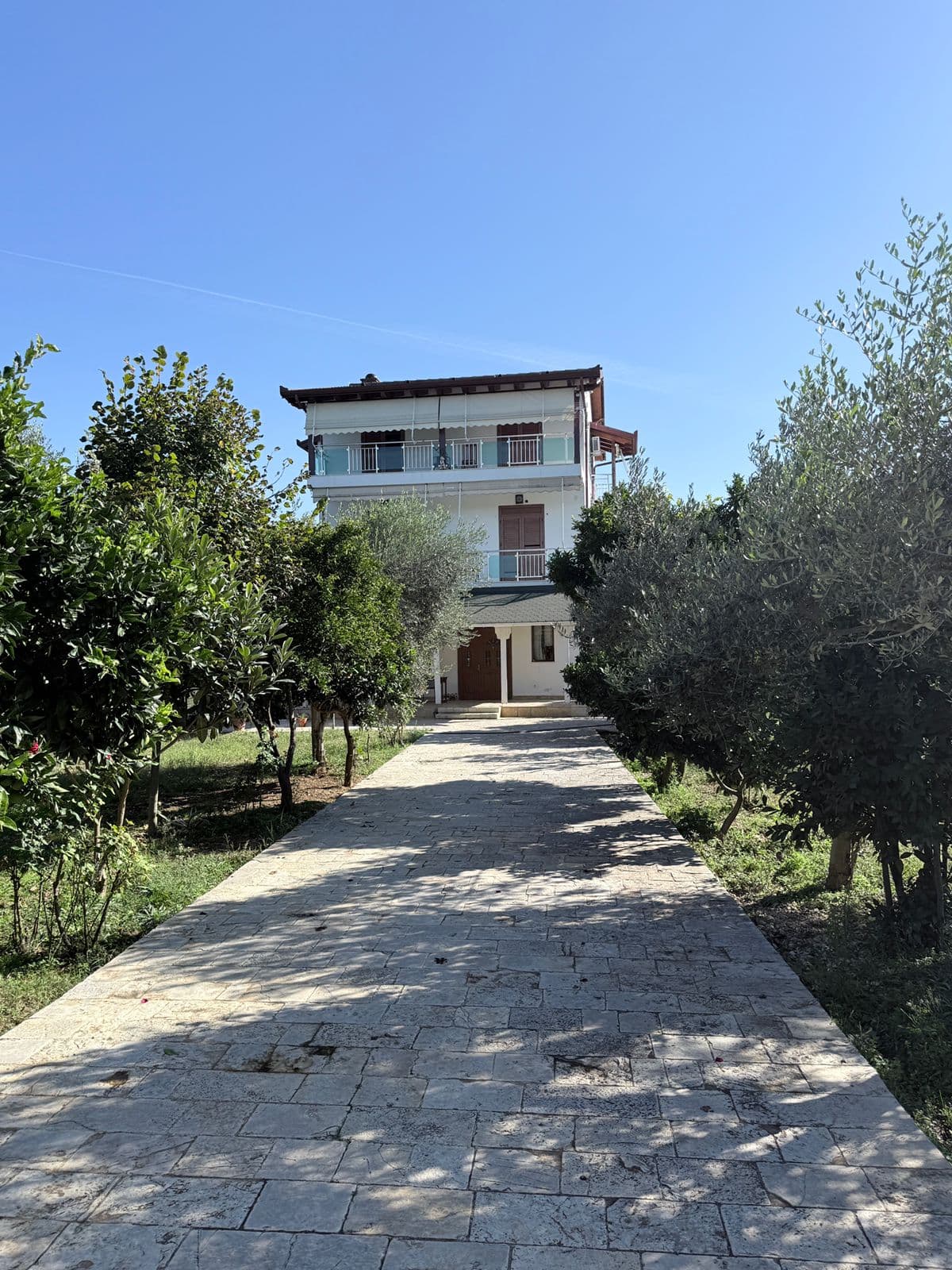 SHITET VILE INDIVIDUALE NE GJIRIN E LALZIT PERBALL RESORTS MELIA 2