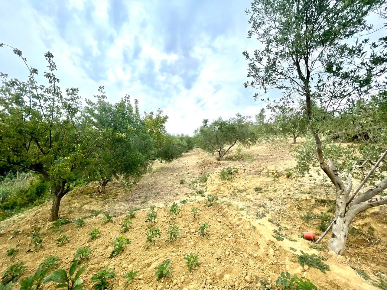 TOKE PER SHITJE PRANE REZERVUARIT, SHKALLNUR, DURRES. 3