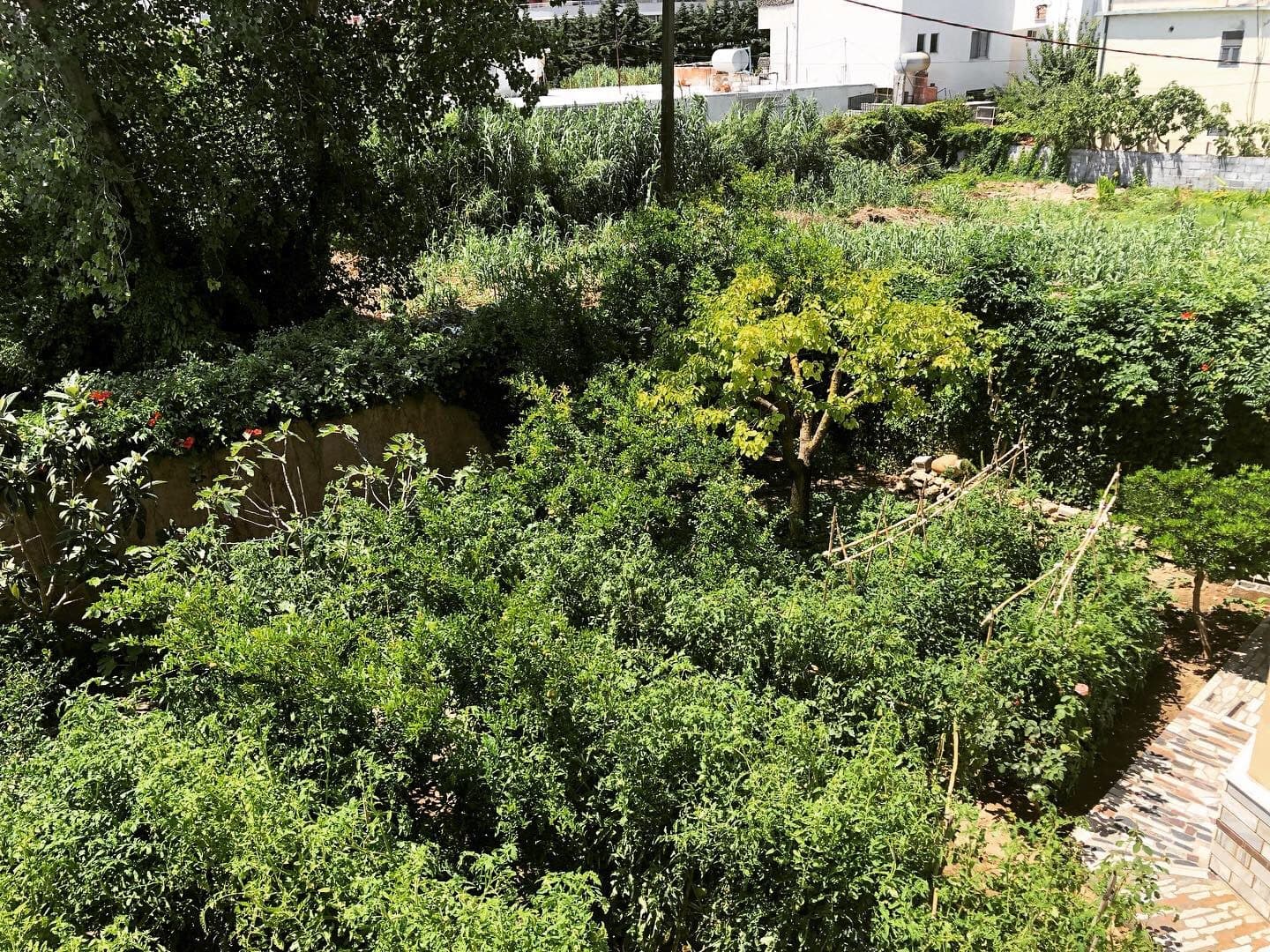VILE 3 KATESHE PER SHITJE NE HEKURUDHA PLAZH,DURRES!