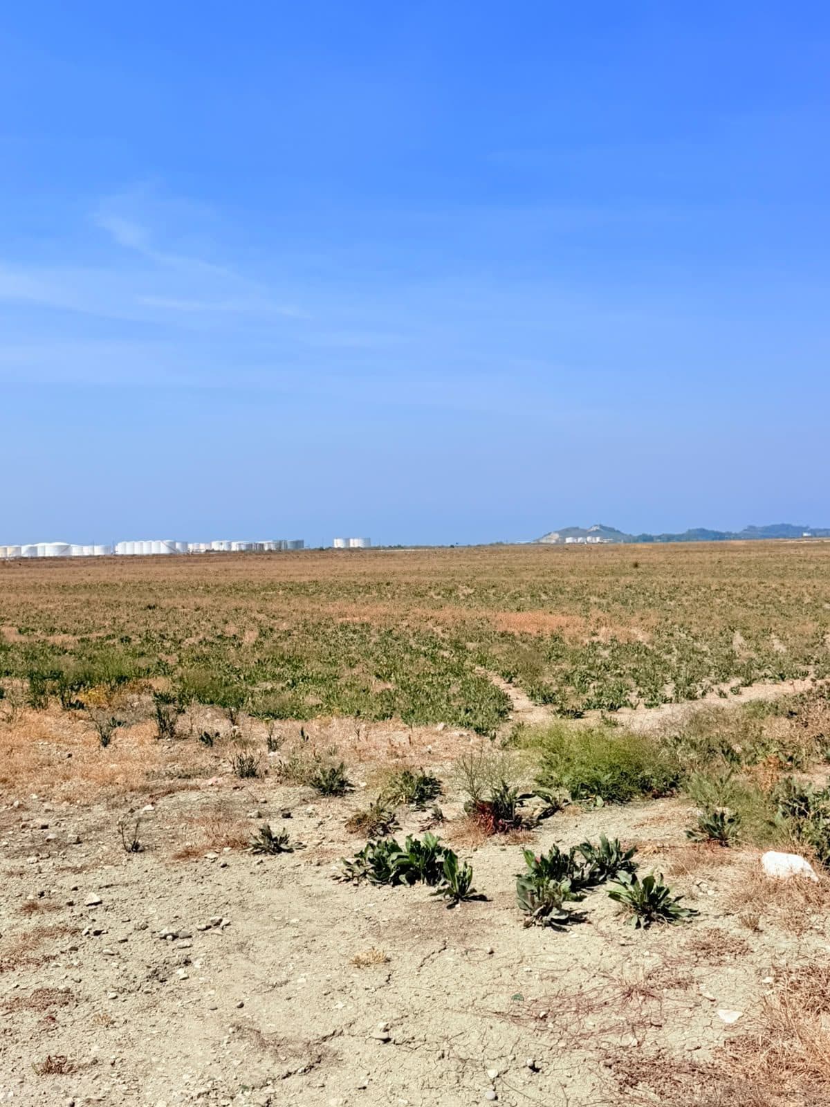 SHITET TOKE NE ZONEN E PORTO ROMANOS, DURRES 2