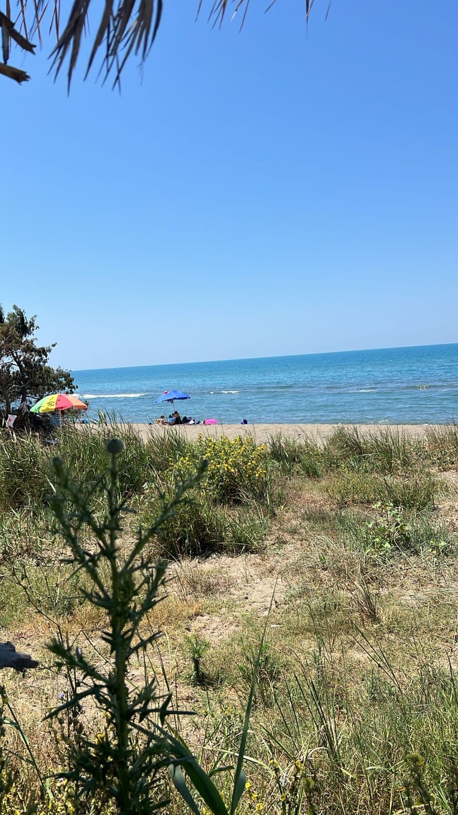 SHITET TOKE VIJE E PARE NE SPILLE, KAVAJE. 4