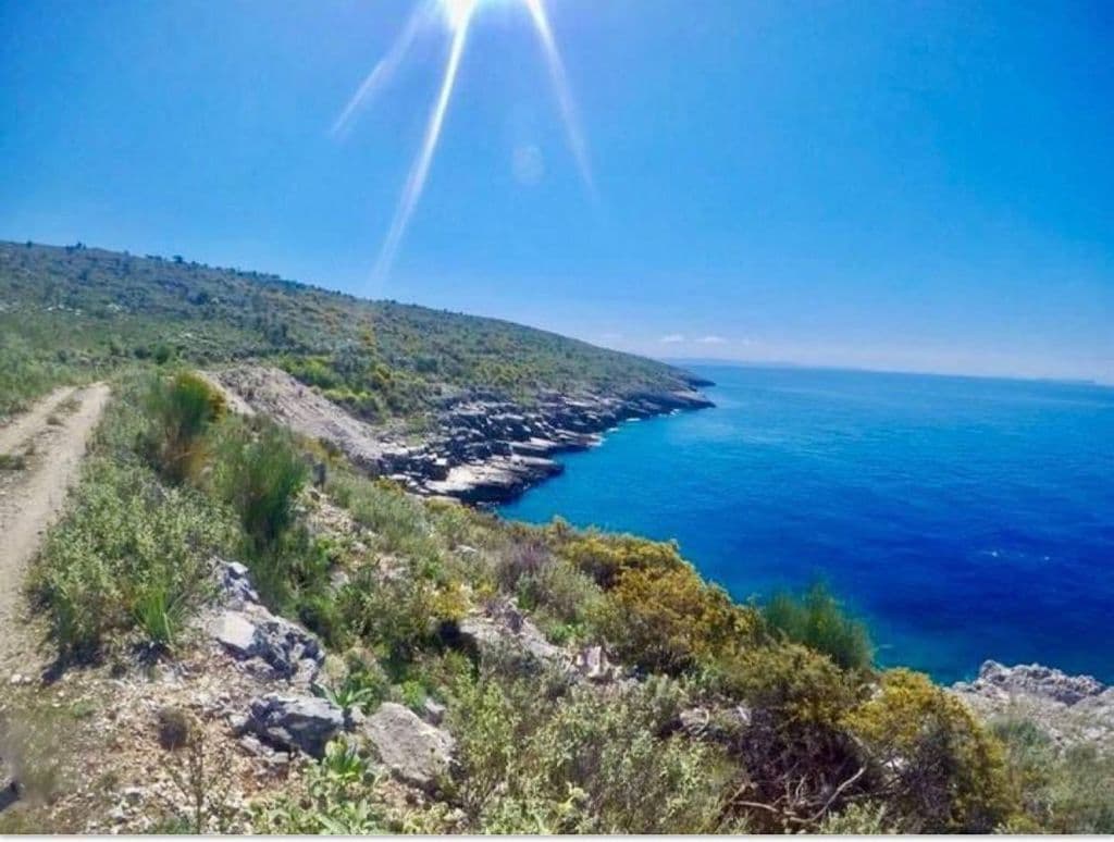TOKE PER SHITJE BUZE DETIT, LLAMAN, HIMARE, VLORE. 1