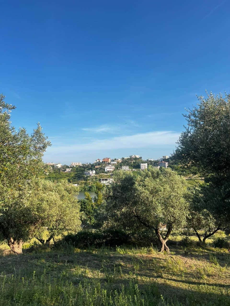 SHITET TOKE NE SPITALLE PRANE REZERVUARIT, DURRES 2