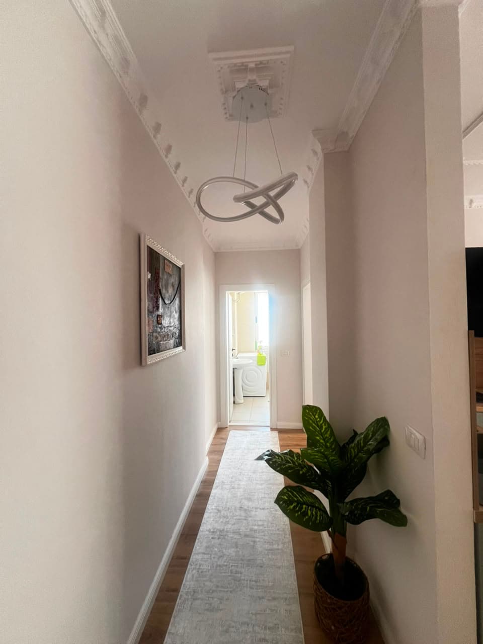 SHITET APARTAMENT 1+1 NE ZONEN E GOLEMIT 3