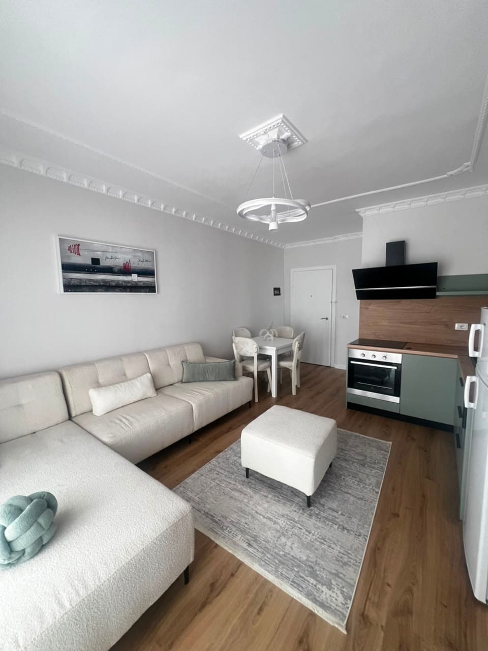SHITET APARTAMENT 1+1 NE ZONEN E GOLEMIT 2