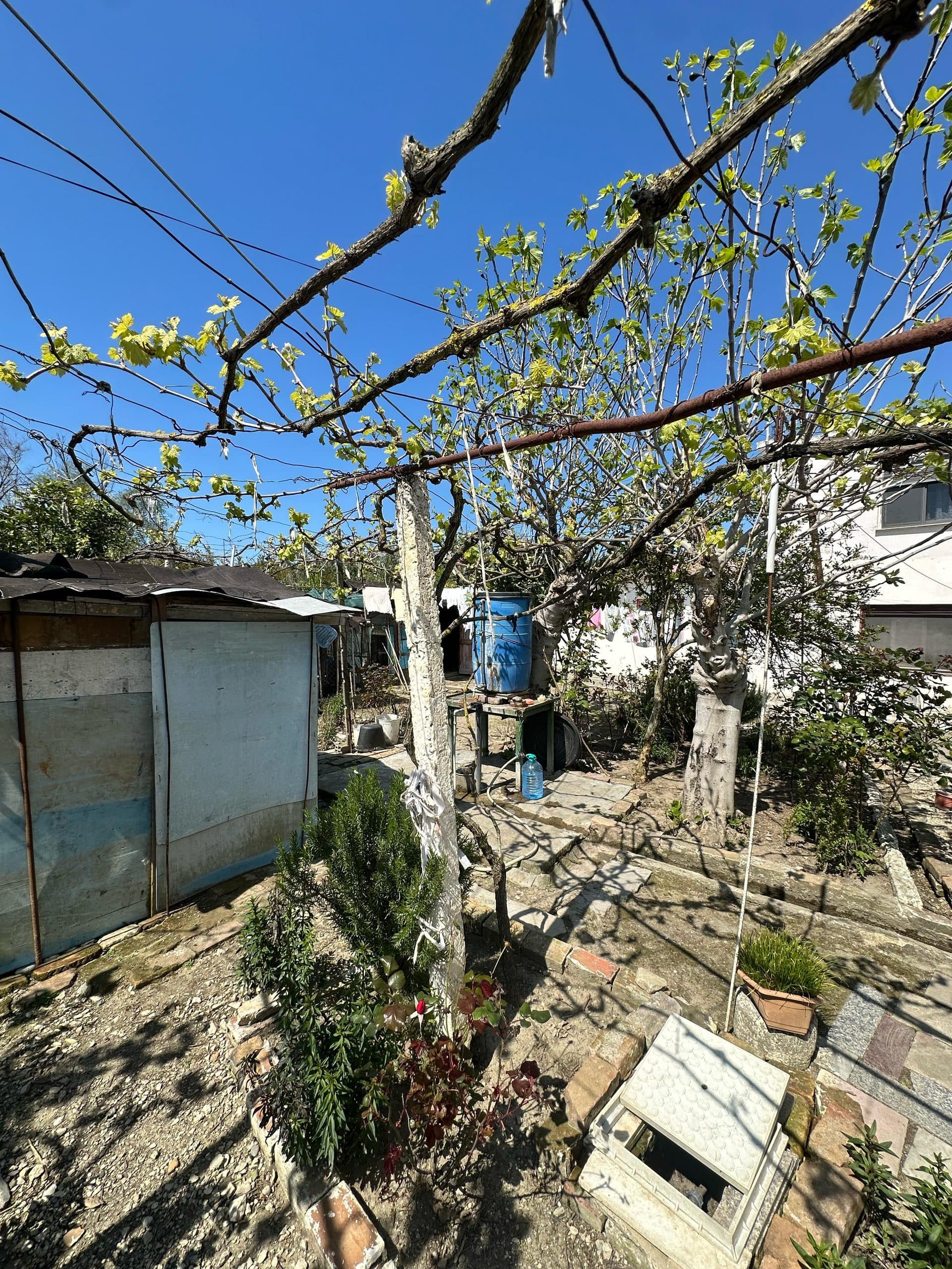 SHITET SHTEPI PRIVATE + TRUALL , SPITALL, DURRES.