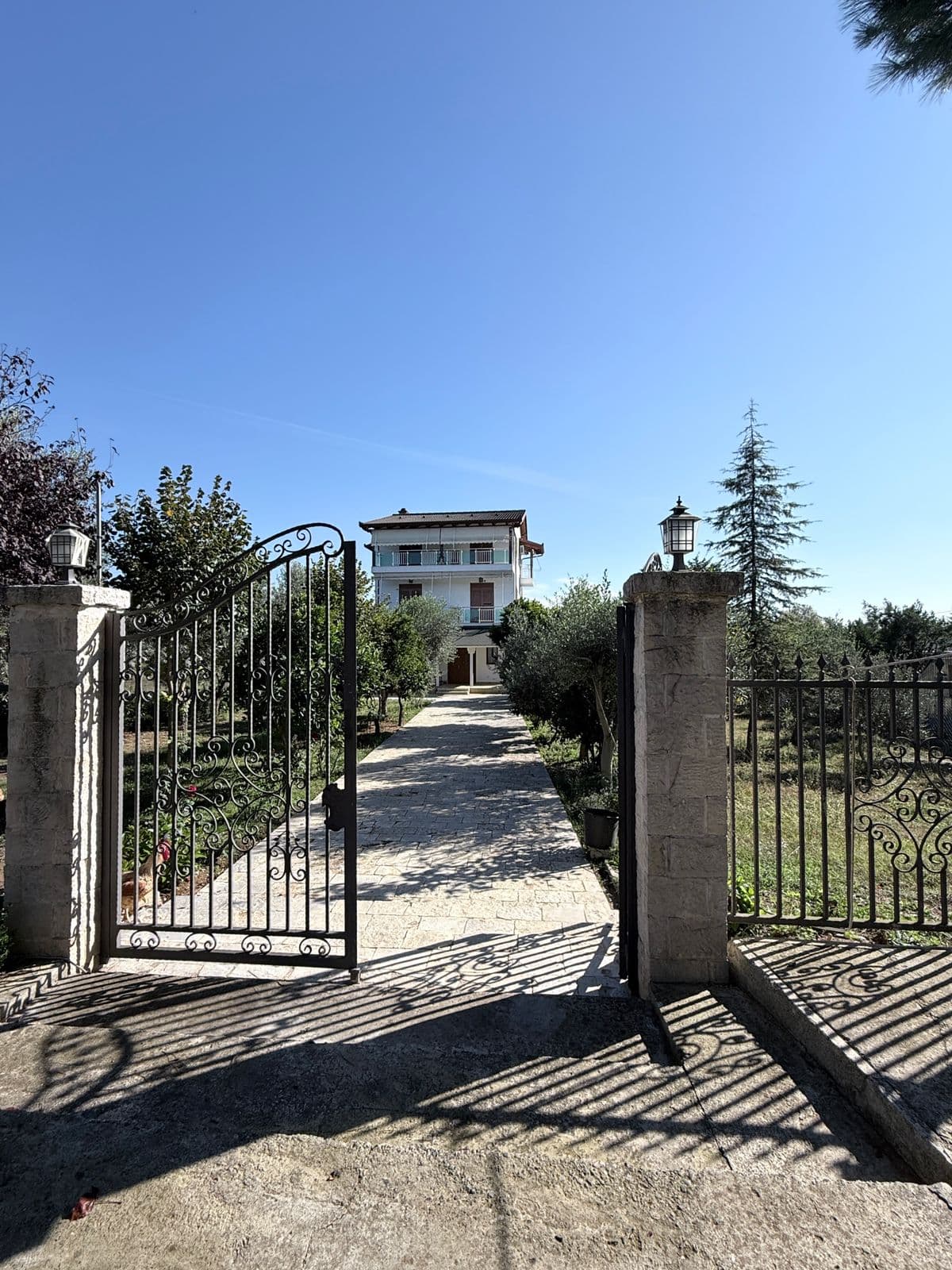 SHITET VILE INDIVIDUALE NE GJIRIN E LALZIT PERBALL RESORTS MELIA