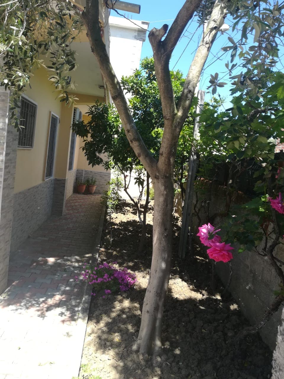 SHITET SHTEPI PRIVATE 2+1 PRANE FRIGORIFERIT PLAZH ,DURRES. 4