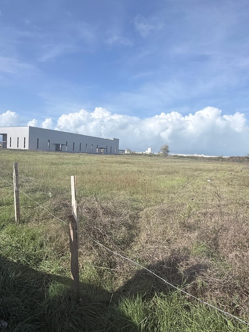 SHITET TOKE XHAVZOTAJ DURRES 2