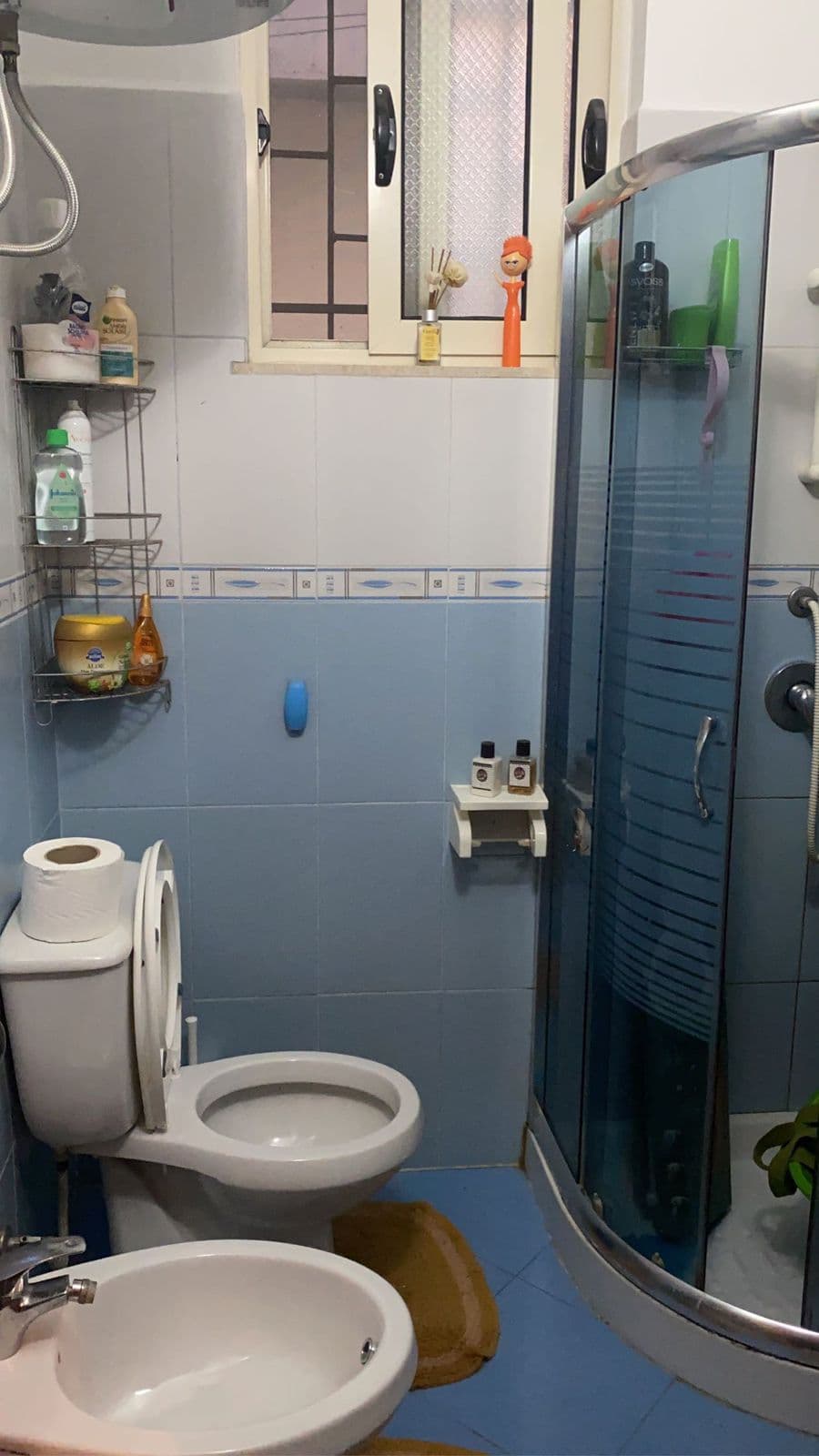 SHITEN 2 GAZONJERE TEK SHKEMBI KAVAJES 4