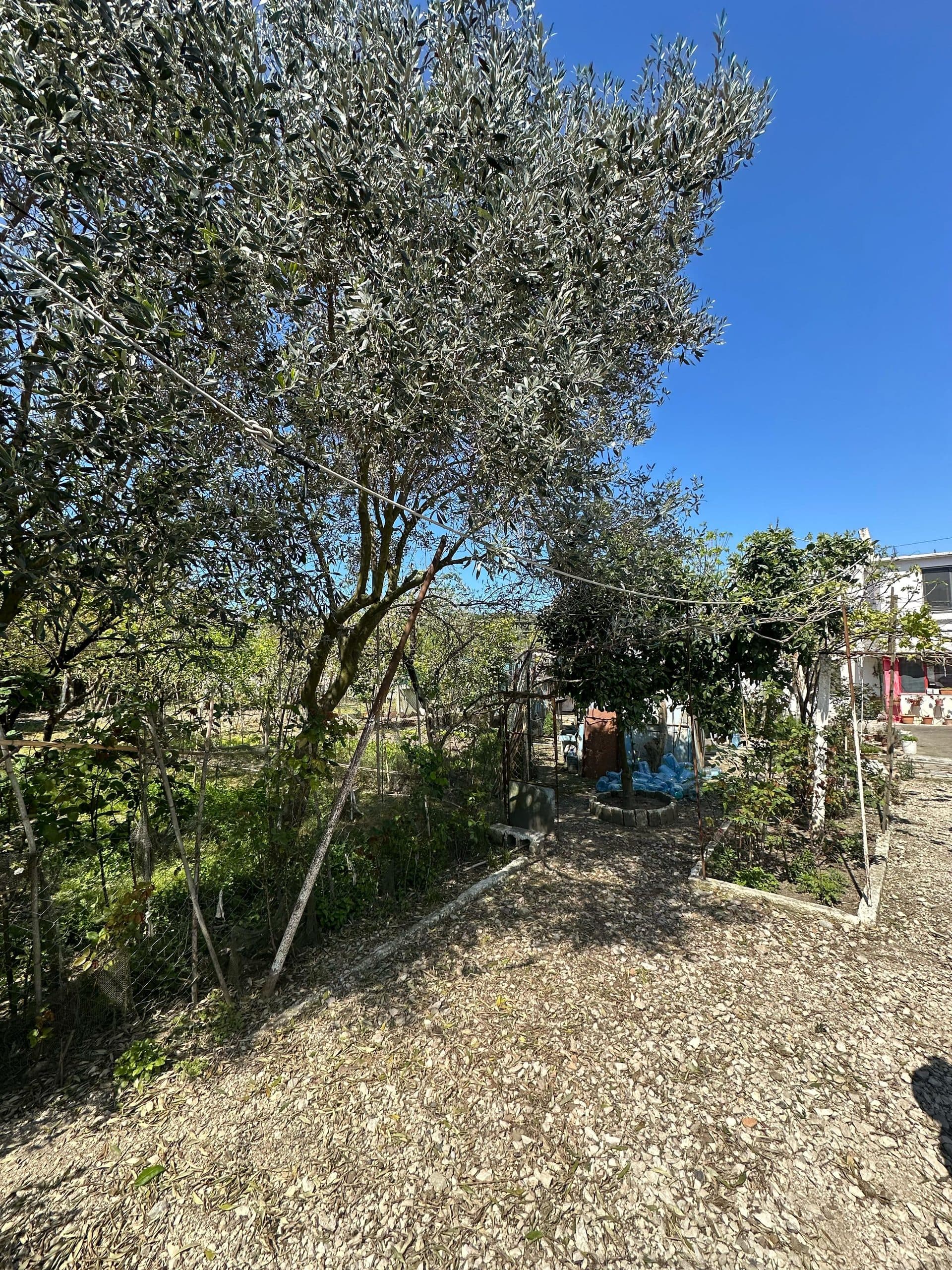 SHITET SHTEPI PRIVATE + TRUALL , SPITALL, DURRES. 3