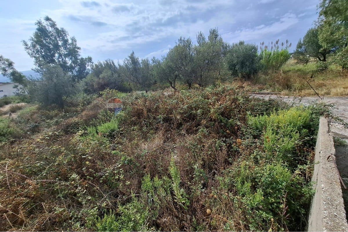 Truall - Për Qira - Rruga e Re, Vlorë 2