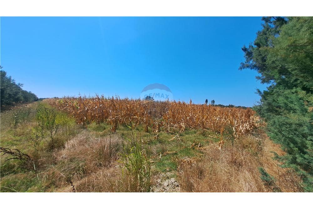 Toke Bujqesore - Në Shitje - Novoselë, Vlorë 4