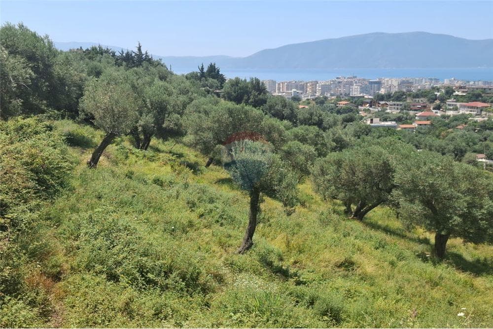 Toke ne shitje ne Kuzum Baba, Vlore