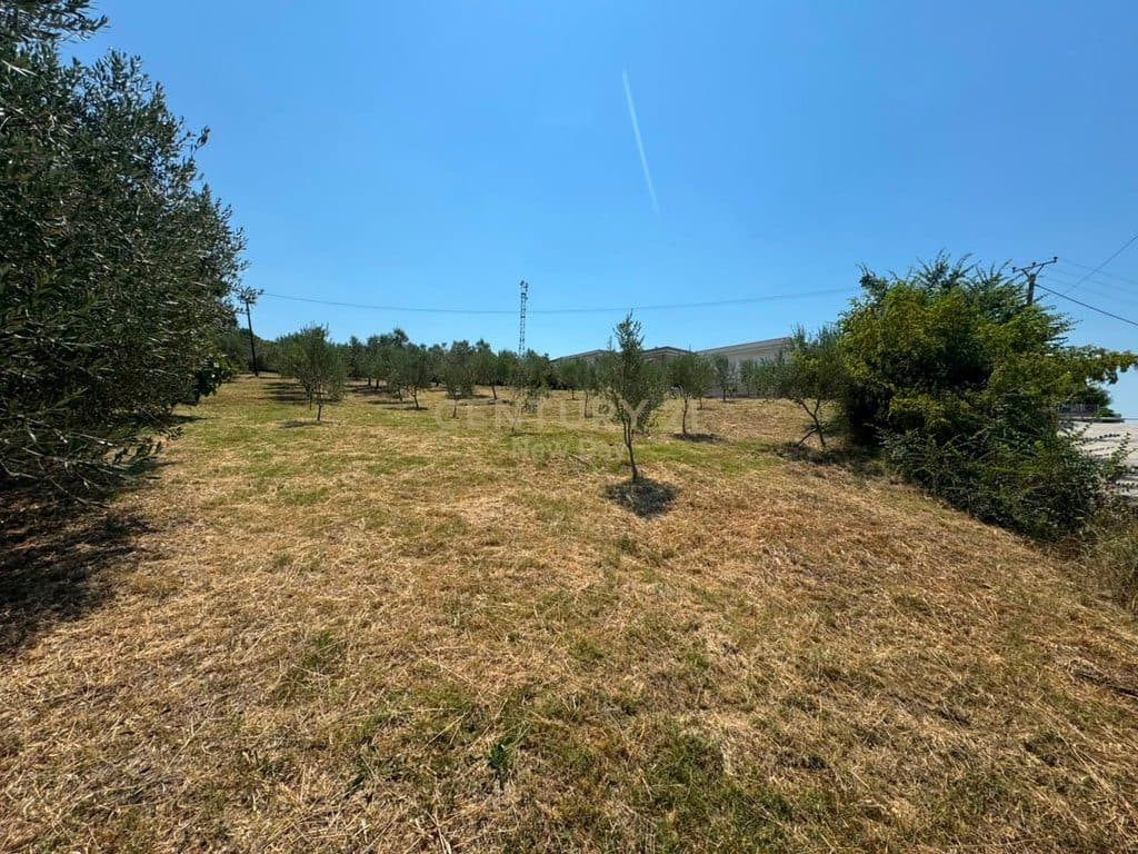 Tokë Për Shitje në Shijak, Durrës - 145,000€ | 2200 m²