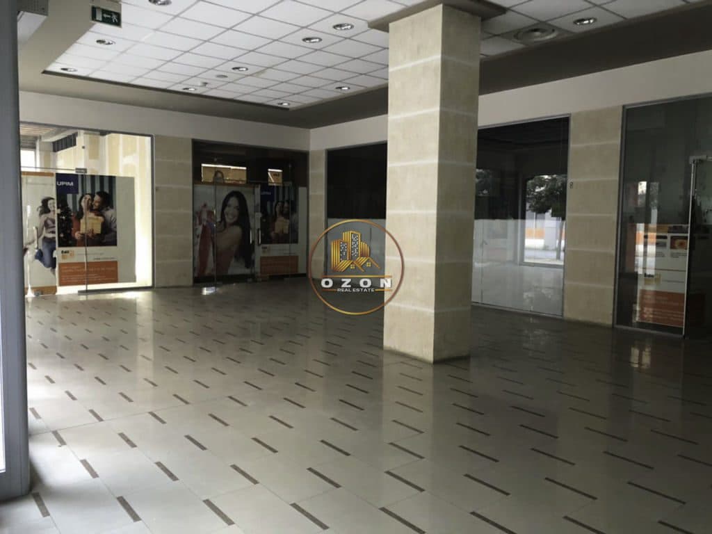 Ambiente biznesi per qera tek PAM-i , Liqeni Artificial . 2