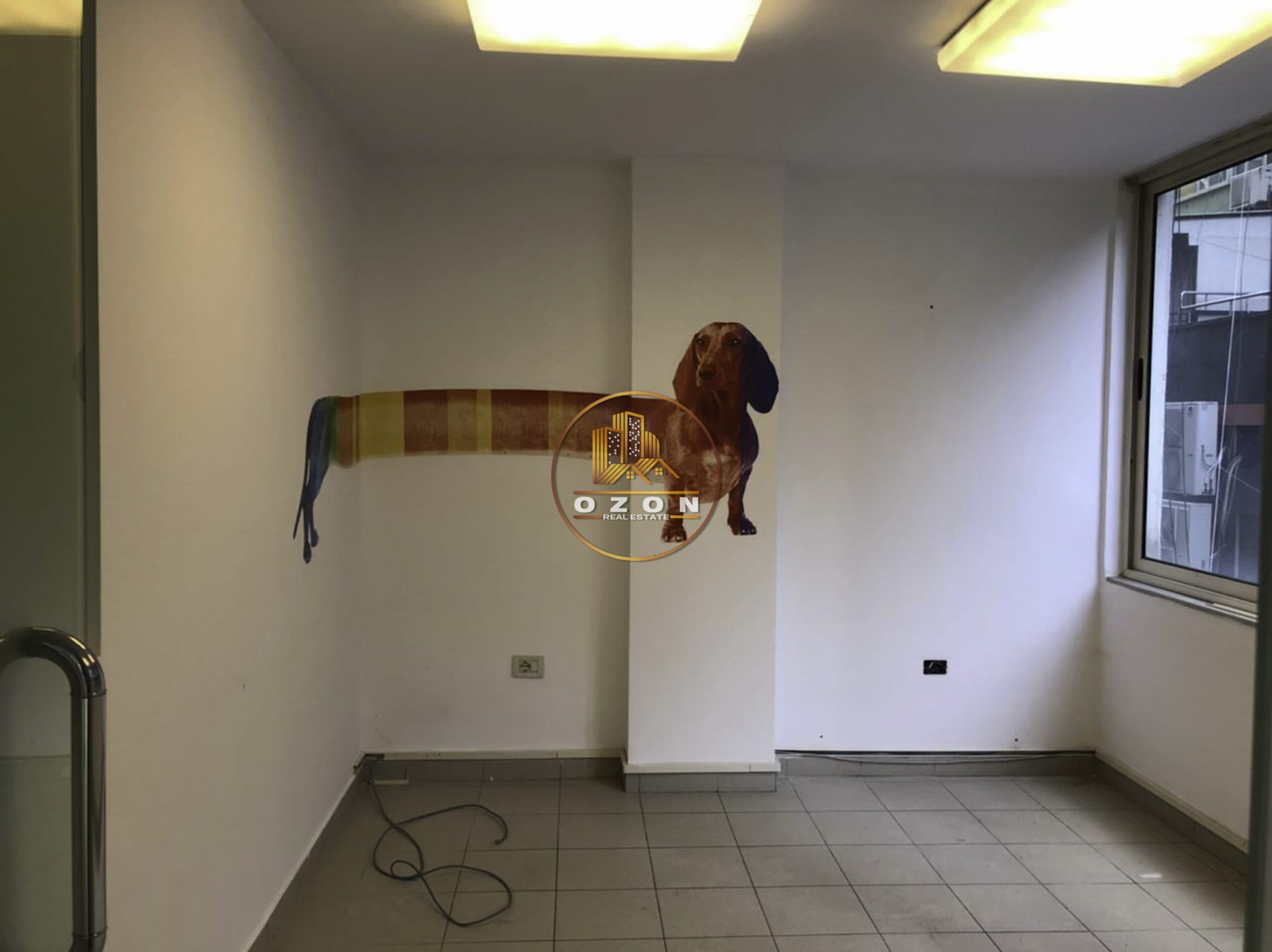 Jepet me qera ambient biznesi 120 m2 , Adresa : Blloku,Tirane