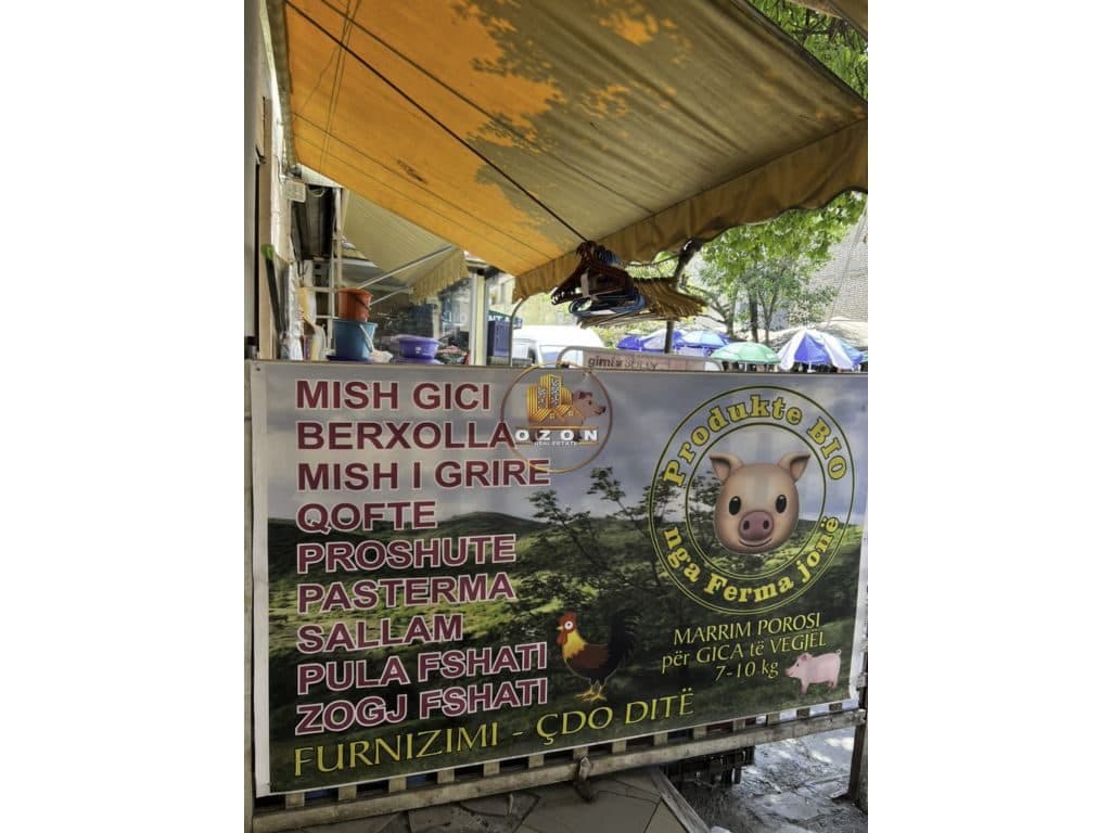 SHITET BIZNESI DYQAN MISHI TEK SHKOLLA E BALETIT !
