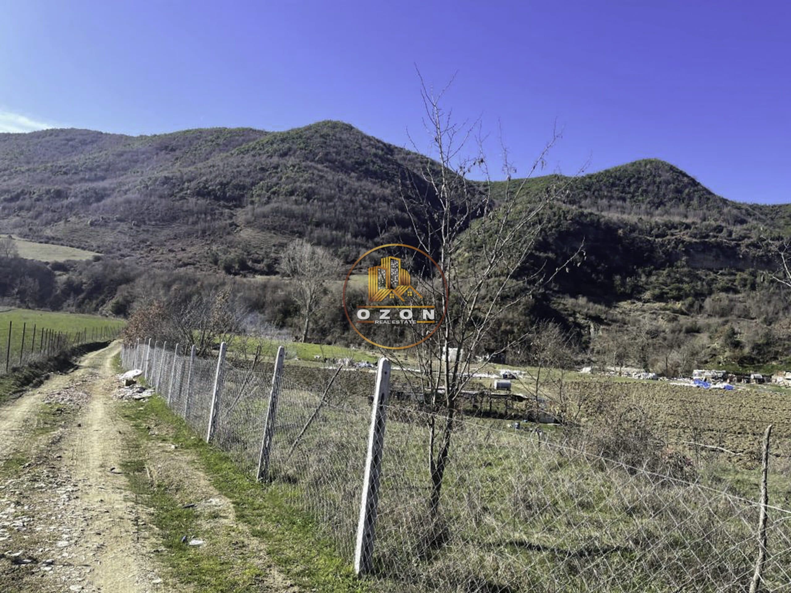 SHITET TOKE NE VISHNJE 13000 M2 !