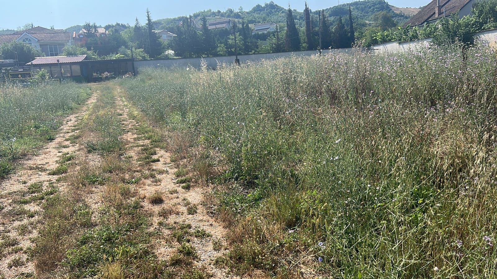 SHITET TOKË | PEZË – 480.000 | 4500m2