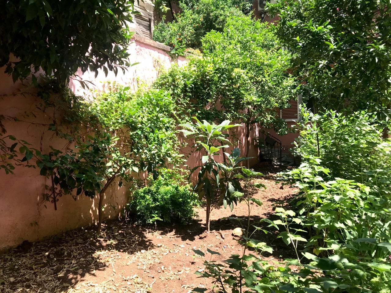 Shitet, Vilë 2-katëshe, Rruga Barrikadave, Tiranë - 1.400.000€ |600m² 3