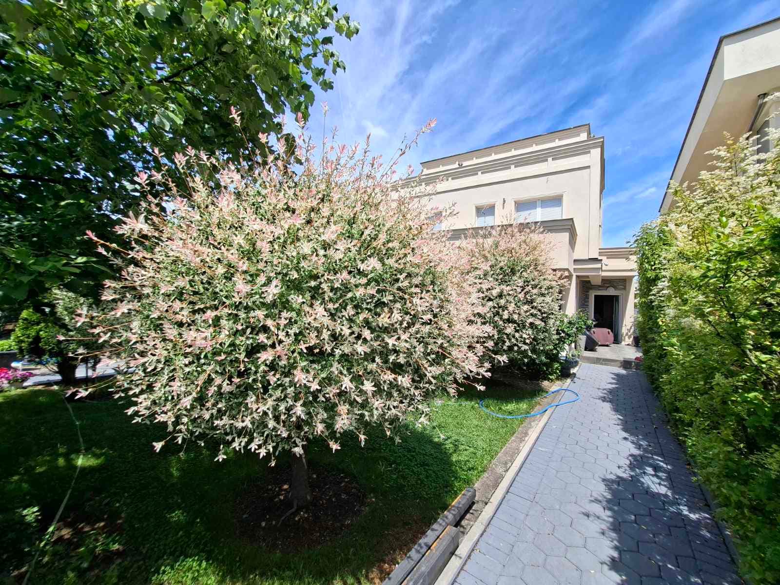 Shtëpi në SHITJE – 5.25 ari | Shtëpia 3