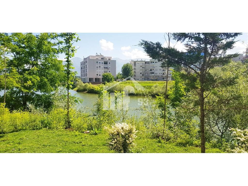 BUZE LIQENIT TE THATË 2