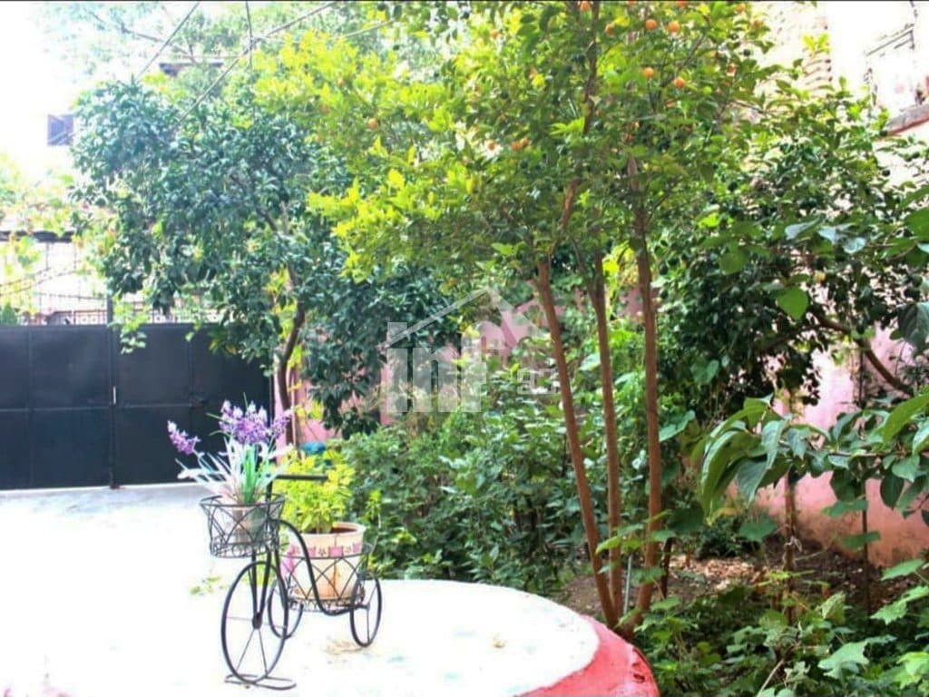 PRANE SHESHIT “SKENDERBEJ”