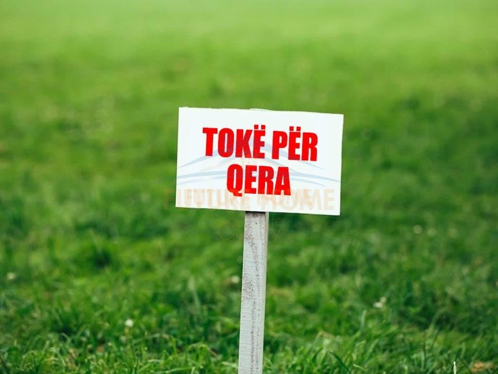 Qera, Toke, Rinas