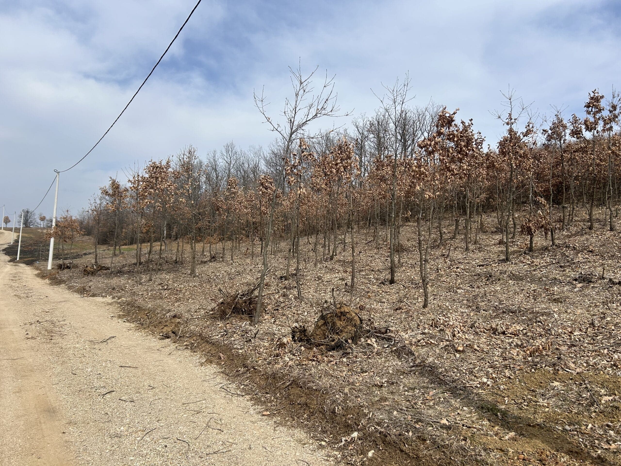 #30 12 Parcella 4-7ari #PerShitje ne Busi 4