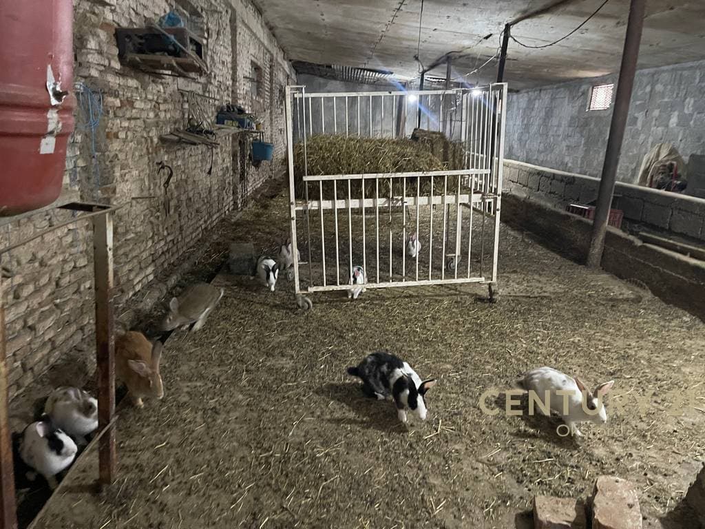 TOKË PËR SHITJE NË ELBASAN ME CERTIFIKATË PRONËSIE! 3